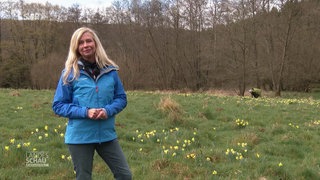 Wetterreporterin Kathrin Illig