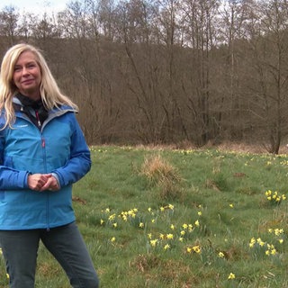 Wetterreporterin Kathrin Illig