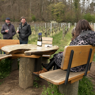 Ärger um Sitzgruppe im "Paradiesgarten"