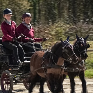 Drei Personen in einer Kutsche beim Fahren