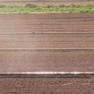 Bewässerungsrohre auf einem Feld
