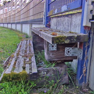 Das Südweststadion ist Ludwigshafen verfällt.