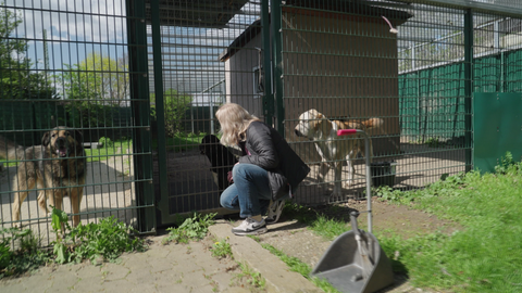 Das Tierheim Mainz