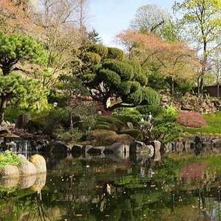 Japanischer Garten in Kaiserslautern