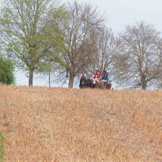 Von Pferden gezogene Kutsche