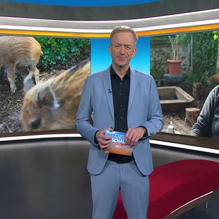 Moderator Martin Seidler