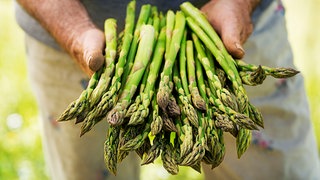 Grüner Spargel