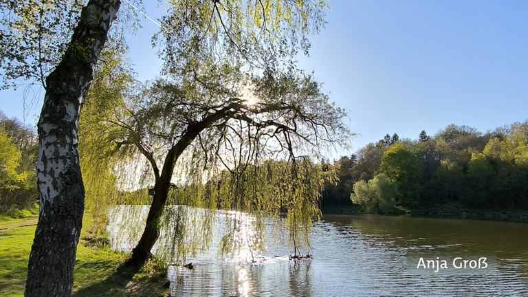 "Hauserbach See in Miehlen. Entspannung pur." So betitelt Landesschau-Zuschauerin Anja Groß ihr Foto - wir können nur zustimmen