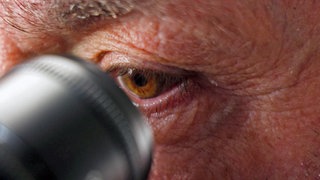 Mikrofotograf Frank Fox schaut duchs Mikroskop