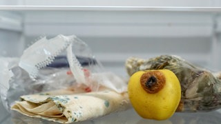 Vergammelte Lebensmittel in einem Gemüsefach im Kühlschrank