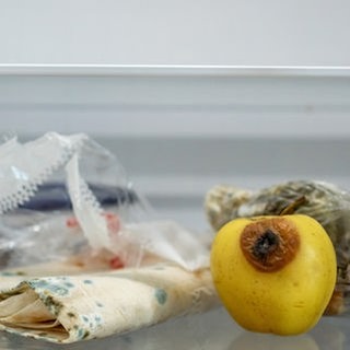 Vergammelte Lebensmittel in einem Gemüsefach im Kühlschrank