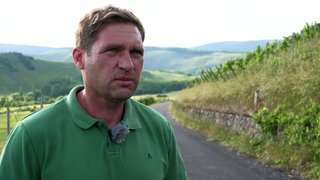 Winzer in einer Steillage an der Mosel