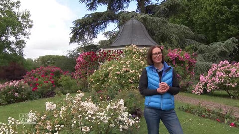 Wetterreporterin Ulrike Hellwig