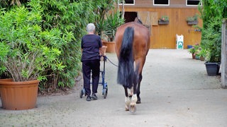 Eine Frau mit Rollator führt ein Pferd