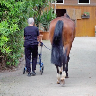Eine Frau mit Rollator führt ein Pferd