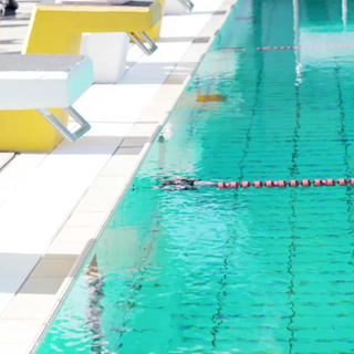 Schwimmbecken