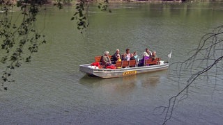 Nachenfahrt auf dem Altrhein