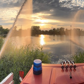 Segelflugsportverein Ludwigshafen will Teich wiederbeleben