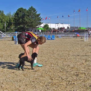 Sarah Tylla auf dem Parcours mit ihrem Hund bei der Agility WM 2026