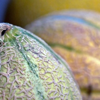 Melonen