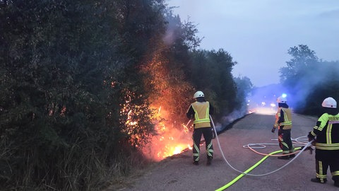 Waldbrände im Kreis Birkenfeld: Feuerwehr am Limit