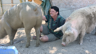 Silke Arnold streichelt zwei ihrer Schweine.