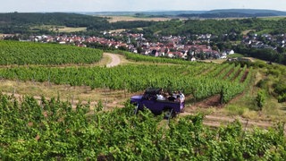 Weinberge im Jeep erleben