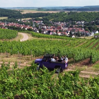 Weinberge im Jeep erleben