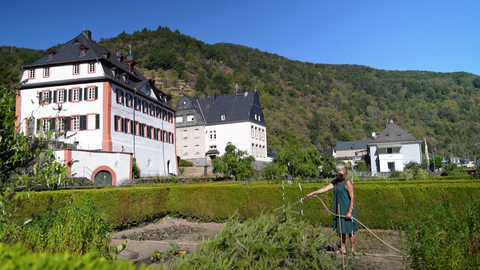 Der Probsteigarten in Hirzenach ist eine alte barocke Anlage und wird heute von einem Förderverein gepflegt.