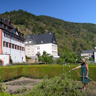 Der Probsteigarten in Hirzenach ist eine alte barocke Anlage und wird heute von einem Förderverein gepflegt.