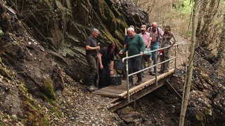 Eifeler Wanderweg durch Waldbrand verwüstet: Ehrenamtliche packen an