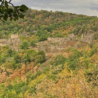 Burgruine
