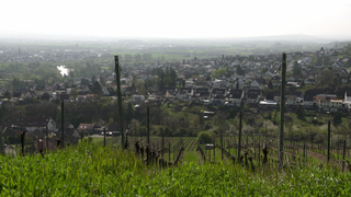 hzl muenster-sarmsheim ortsansicht