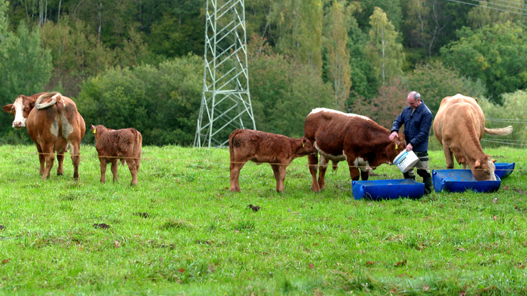 Elzerath Landwirt