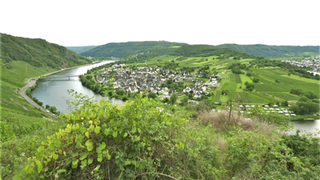 Kröv Ortsansicht