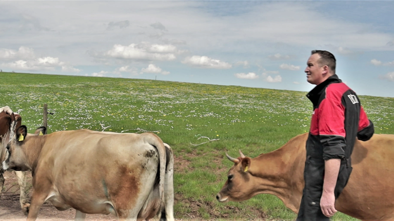Hierzuland Kümmern Landwirt Thomas Lellig