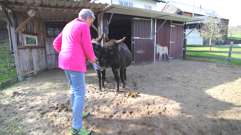 Derschen Doris Krah und ihre Esel