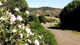 Medenscheid - Die Brunnenstrasse