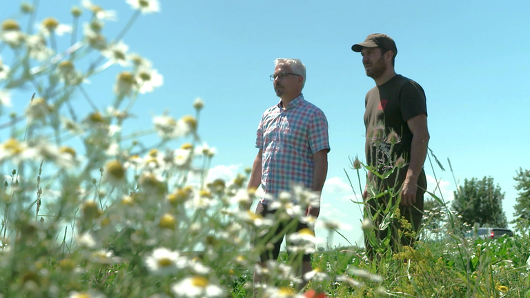 Ober-Flörsheim Feld