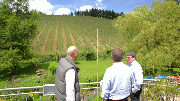 Eitelsbach Weingut