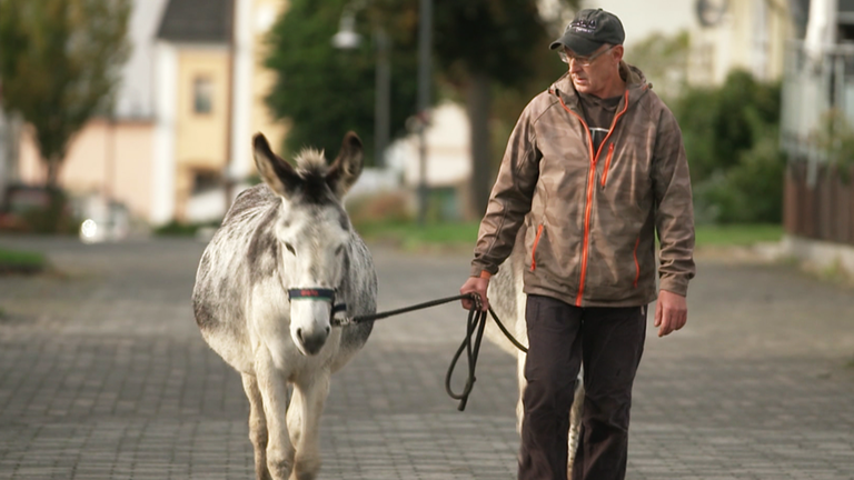 Vielbach Eselwanderung