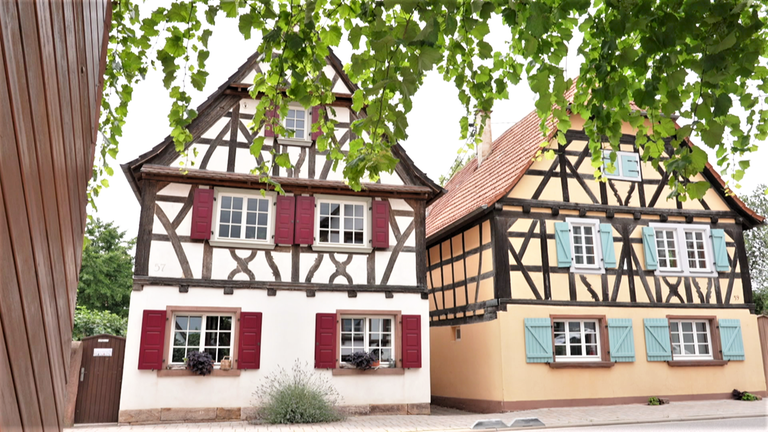 Hierzuland Minfeld Fachwerkhäuser