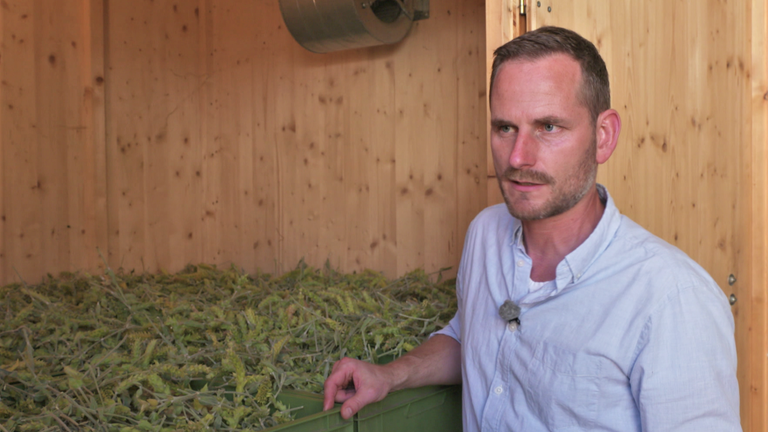 Ruppertsberg Teegärtnerei