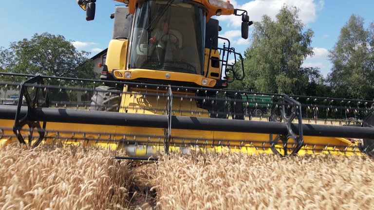 Landwirtschaft in Fronhofen