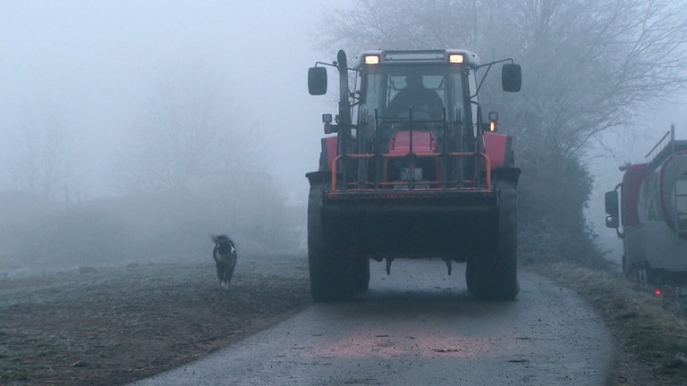 Hierzuland Deimberg Im Morgennebel
