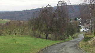 HZL Misselberg Taunusstraße