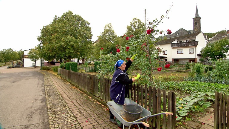 Hierzuland Ayl Bauerngarten