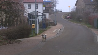 Hierzuland Deimberg An der Steinreiß