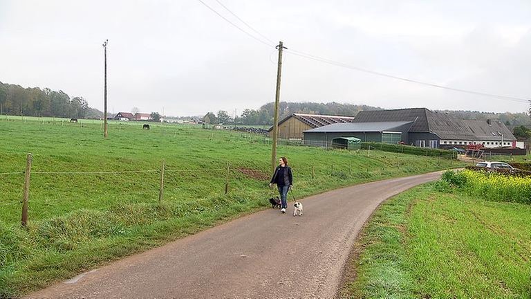Die Neunhäuser Straße von Vierherrenborn