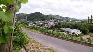 Veldenz - Ortsansicht